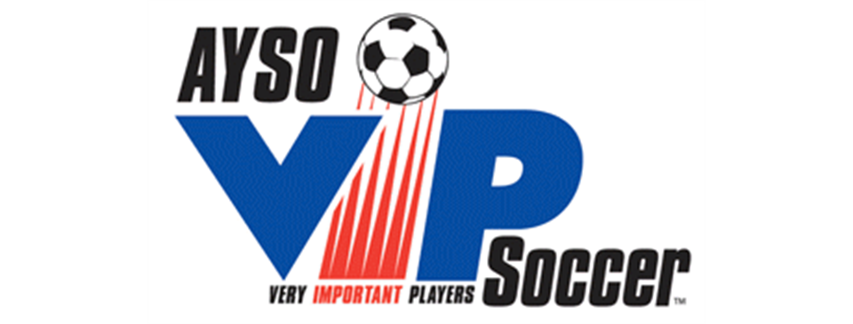 VIP Soccer at Region 91